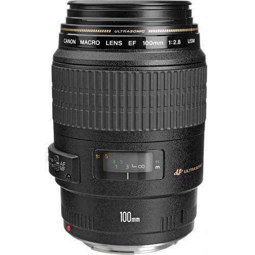 EF 100mm f/2.8 Lenses de segunda mano en Camera Market